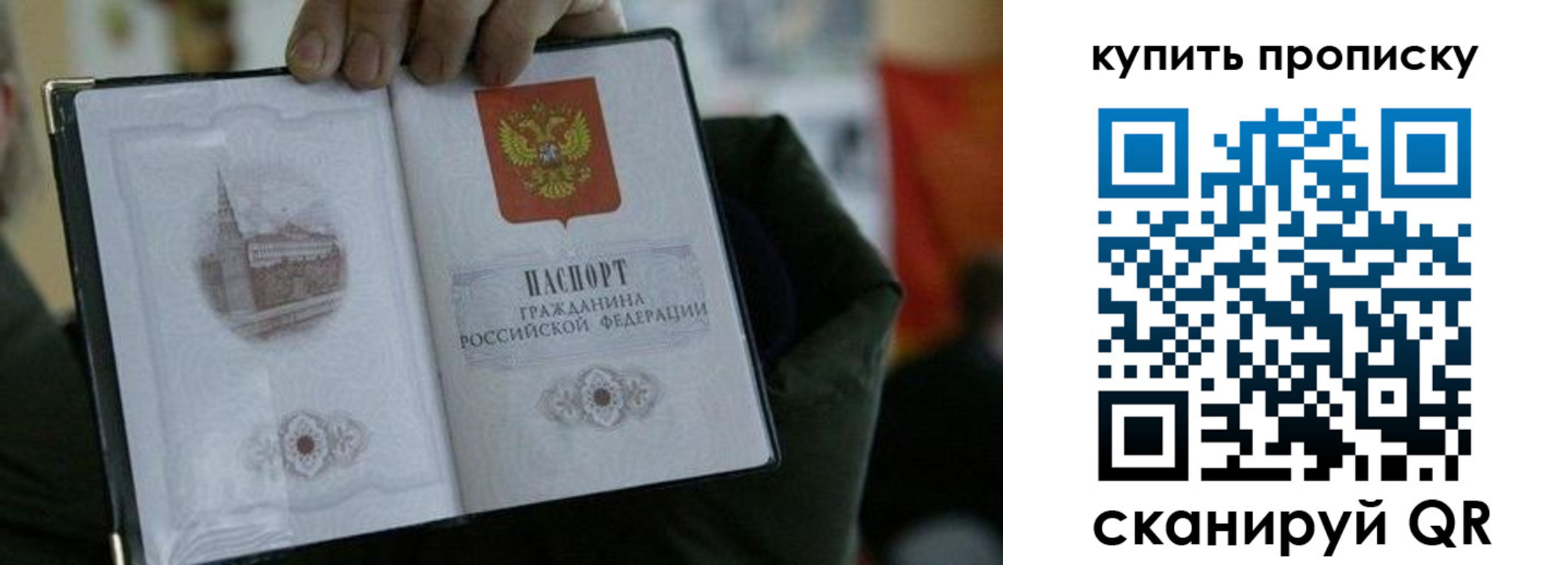 временная регистрация поиск в Алтае